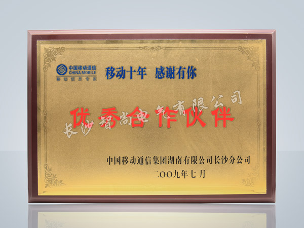 優(yōu)秀合作伙伴